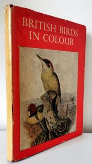 British Birds in Colour
