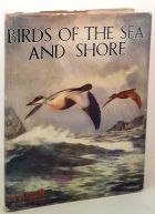 Birds Of The Sea And Shore