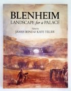 Blenheim Landscape for a Palace