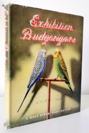 Exhibition Budgerigars