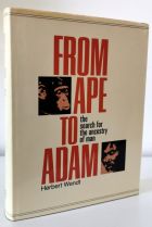 From Ape to Adam: Search for the Evolution of Man