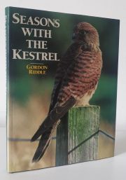 Seasons with the Kestrel