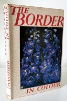 The Border in Colour