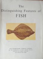 The Distinguishing Features of Fish