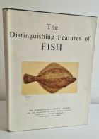 The Distinguishing Features of Fish