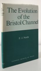 The Evolution of the Bristol Channel