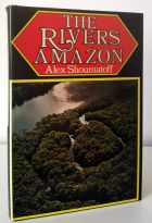 The Rivers Amazon