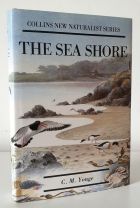 The Sea Shore