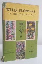 Wild Flowers of the Countryside